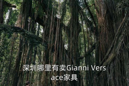 深圳哪里有賣Gianni Versace家具