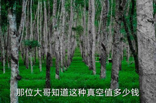 那位大哥知道這種真空值多少錢