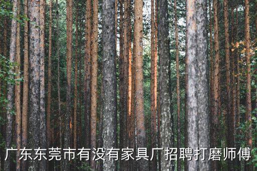 東莞市厚街鎮白濠五金打磨工作，誰在厚街白濠工作過那里怎么樣