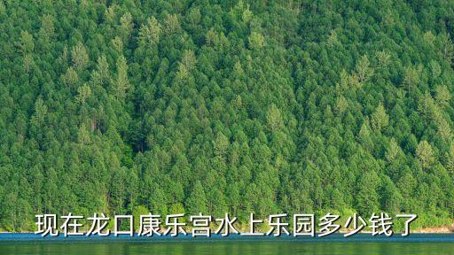 現在龍口康樂宮水上樂園多少錢了