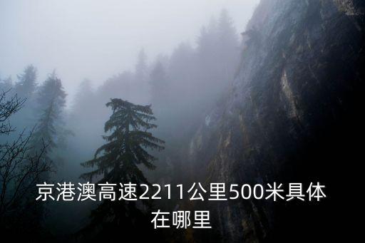 東莞華廈星匯電影城大朗，東莞橋頭有沒有測試皮革的測試六價鉻