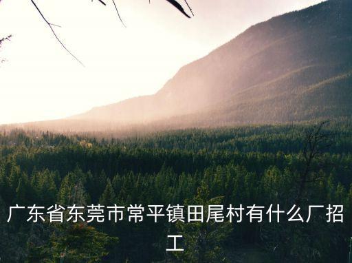 廣東省東莞市常平鎮(zhèn)田尾村有什么廠招工