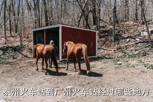 泰州到廣州途經哪些站，泰州到廣州的火車停靠哪個站
