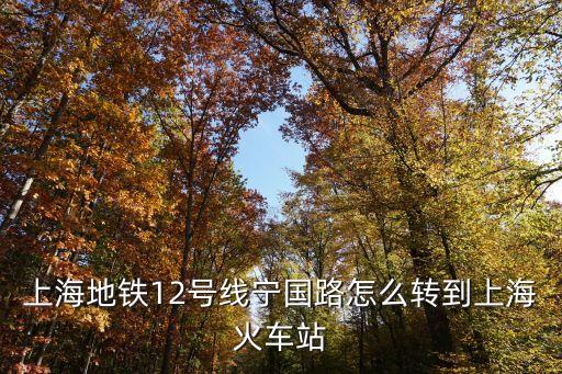 上海地鐵12號線寧國路怎么轉到上海火車站