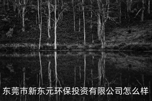 東莞市新東元環(huán)保投資有限公司怎么樣