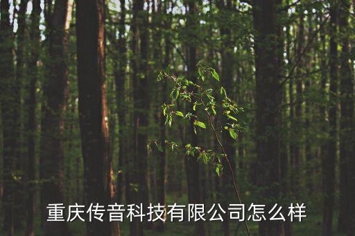 重慶傳音科技有限公司怎么樣