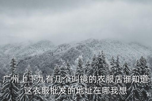 廣州上下九有幾個(gè)叫鏡的衣服店誰知道這衣服批發(fā)的地址在哪我想