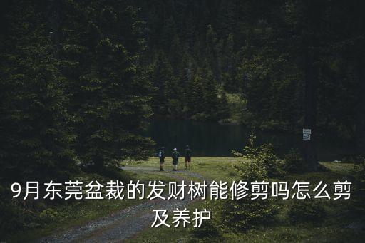 東莞樹(shù)枝修剪視頻教程，這棵風(fēng)景樹(shù)該如何進(jìn)行修剪求各位大師的指導(dǎo)
