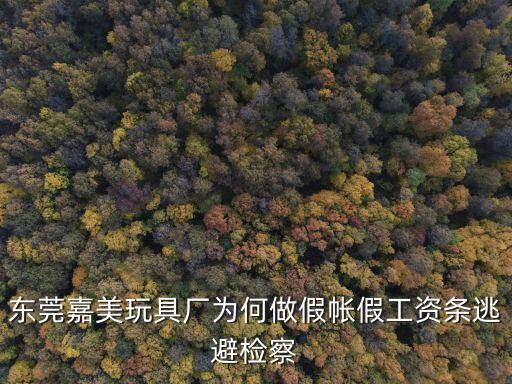 東莞黃江嘉美，東莞嘉美玩具廠為何做假帳假工資條逃避檢察