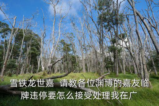 雪鐵龍世嘉  請教各位淵博的嘉友臨牌違停要怎么接受處理我在廣