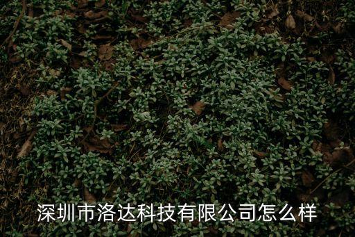 深圳市洛達科技有限公司怎么樣
