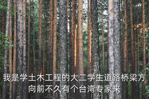 我是學土木工程的大二學生道路橋梁方向前不久有個臺灣專家來
