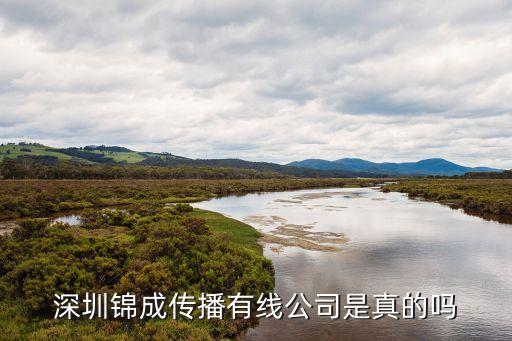 深圳市石器時代文化傳媒有限公司，深圳華強北星紡文化傳播有限公司