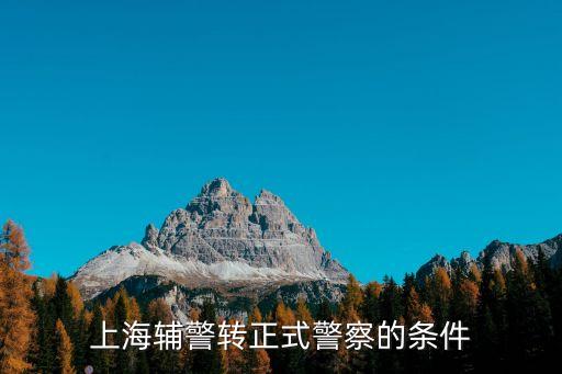 上海輔警轉(zhuǎn)正式警察的條件