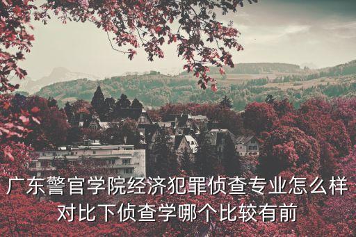 廣州警察學校偵查，廣東警官學院經(jīng)濟犯罪偵察