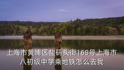 上海市黃浦區鹽碼頭街168號上海市八初級中學乘地鐵怎么去我