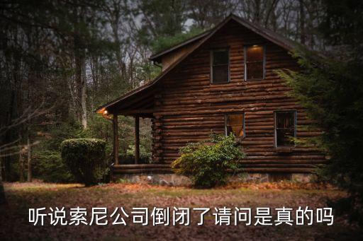 聽說索尼公司倒閉了請問是真的嗎