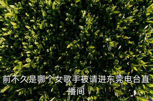 東莞網紅美女歌手，廣州東莞高埗來了個自稱歌星叫什么小YUYI的忘了知道的朋