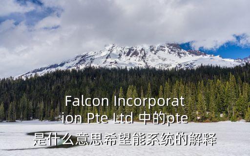 Falcon Incorporation Pte Ltd 中的pte是什么意思希望能系統的解釋