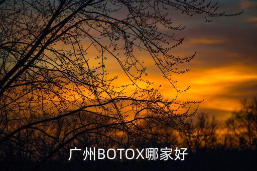 廣州BOTOX哪家好