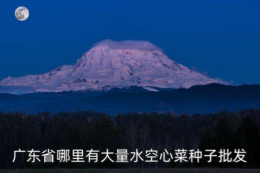 廣州的空心菜種子，廣東省哪里有大量水空心菜種子批發(fā)