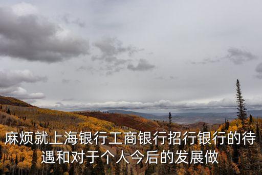 麻煩就上海銀行工商銀行招行銀行的待遇和對于個人今后的發展做
