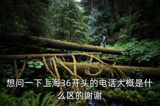 復(fù)星保德信 36上海市，想問一下上海36開頭的電話大概是什么區(qū)的謝謝