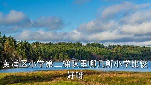 黃浦區小學第二梯隊里哪幾所小學比較好呀