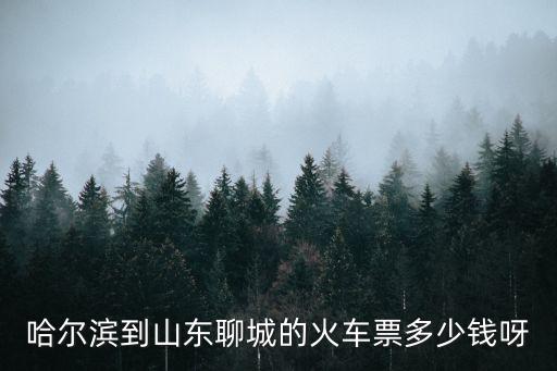 哈爾濱到山東聊城的火車票多少錢呀