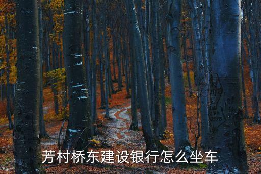 芳村橋東建設(shè)銀行怎么坐車