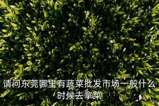 請問東莞哪里有蔬菜批發(fā)市場一般什么時候去拿菜