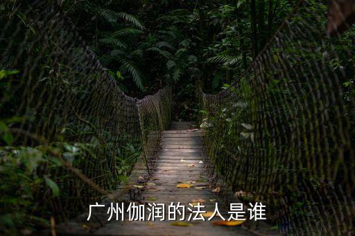 廣州伽潤是否傳銷，廣州伽潤的法人是誰