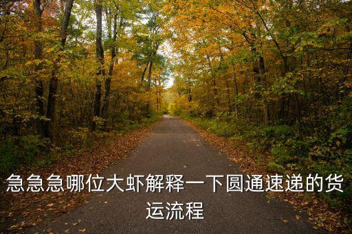 急急急哪位大蝦解釋一下圓通速遞的貨運(yùn)流程