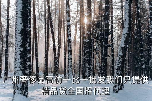 廣州賣高仿奢侈品圖片，廣州奢侈品高仿一比一批發我們只提供精品貨全國招代理