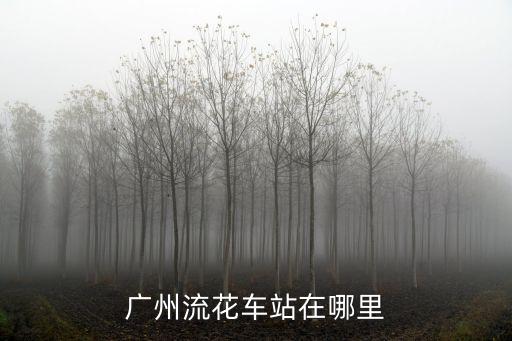 廣州流花車站在哪里