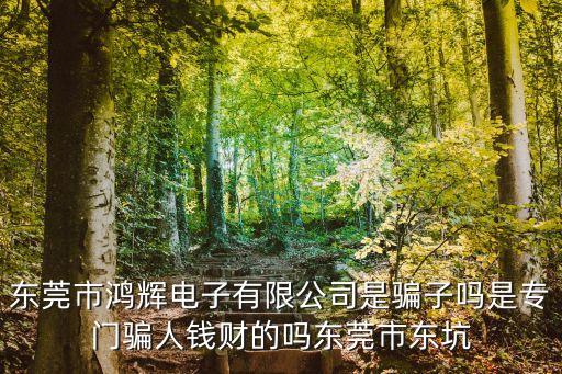 東莞市鴻輝電子有限公司是騙子嗎是專門騙人錢財的嗎東莞市東坑
