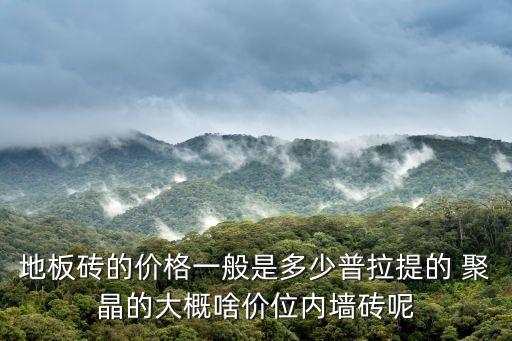左右普拉提廣州，地板磚的價格一般是多少普拉提的 聚晶的大概啥價位內墻磚呢