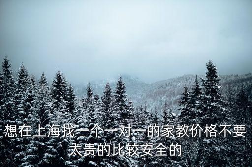 上海市家教上門輔導(dǎo)家教價(jià)格，想在上海找一個(gè)一對(duì)一的家教價(jià)格不要太貴的比較安全的
