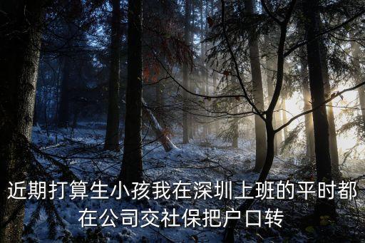深圳社保優(yōu)惠到什么時(shí)候，不是深圳戶口怎樣交深圳社保