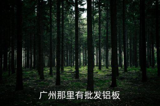廣州國際裝飾材料，廣州那里有批發鋁板