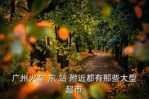 廣州東站商場叫什么，廣州火車 東 站 附近都有那些大型超市