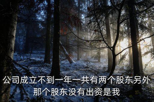 公司成立不到一年一共有兩個(gè)股東另外那個(gè)股東沒有出資是我