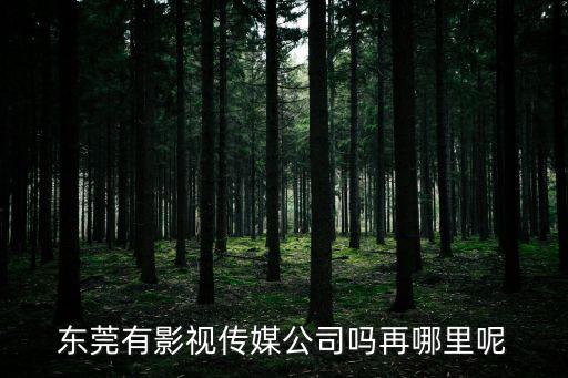 東莞裕民西區視頻，東莞有影視傳媒公司嗎再哪里呢