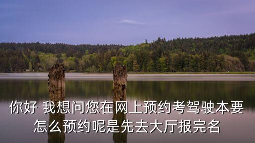 東莞市人民醫院駕照體檢怎么預約，我的駕駛證年審怎么預約