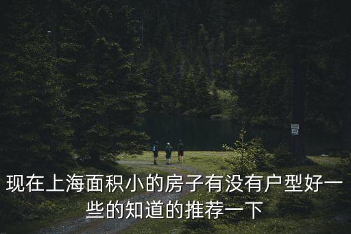 現在上海面積小的房子有沒有戶型好一些的知道的推薦一下