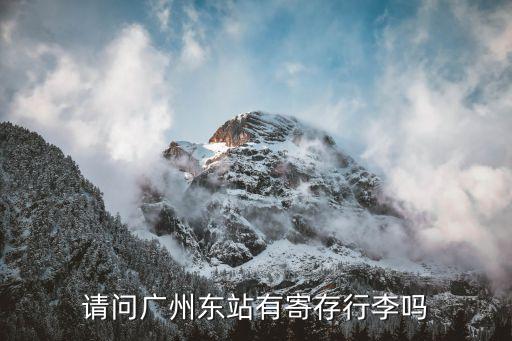 請問廣州東站有寄存行李嗎