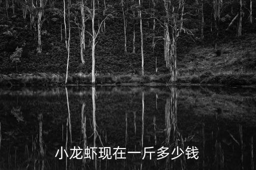 小龍蝦現(xiàn)在一斤多少錢