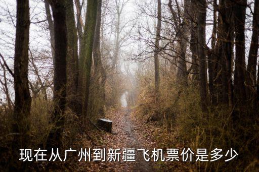 現在從廣州到新疆飛機票價是多少
