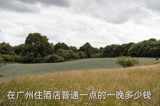 在廣州住酒店普通一點的一晚多少錢