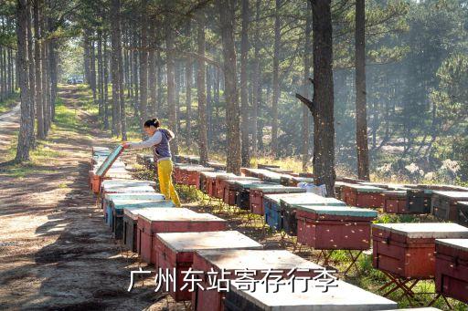 廣州東站附近寄存行李，廣州東站寄存行李